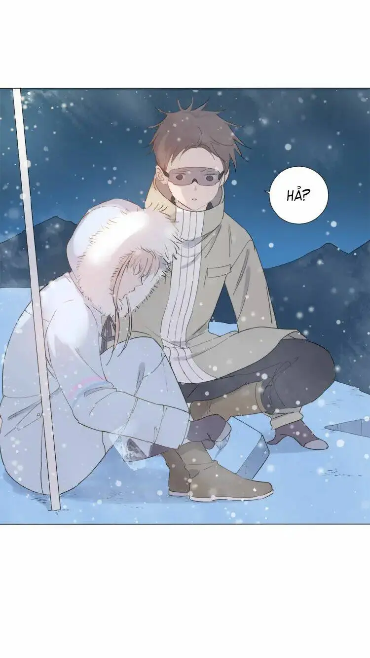 Chapter 12