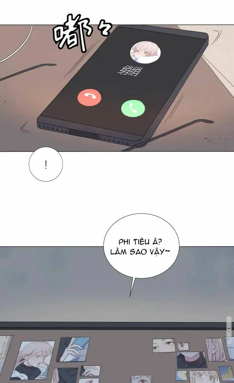 Chapter 11