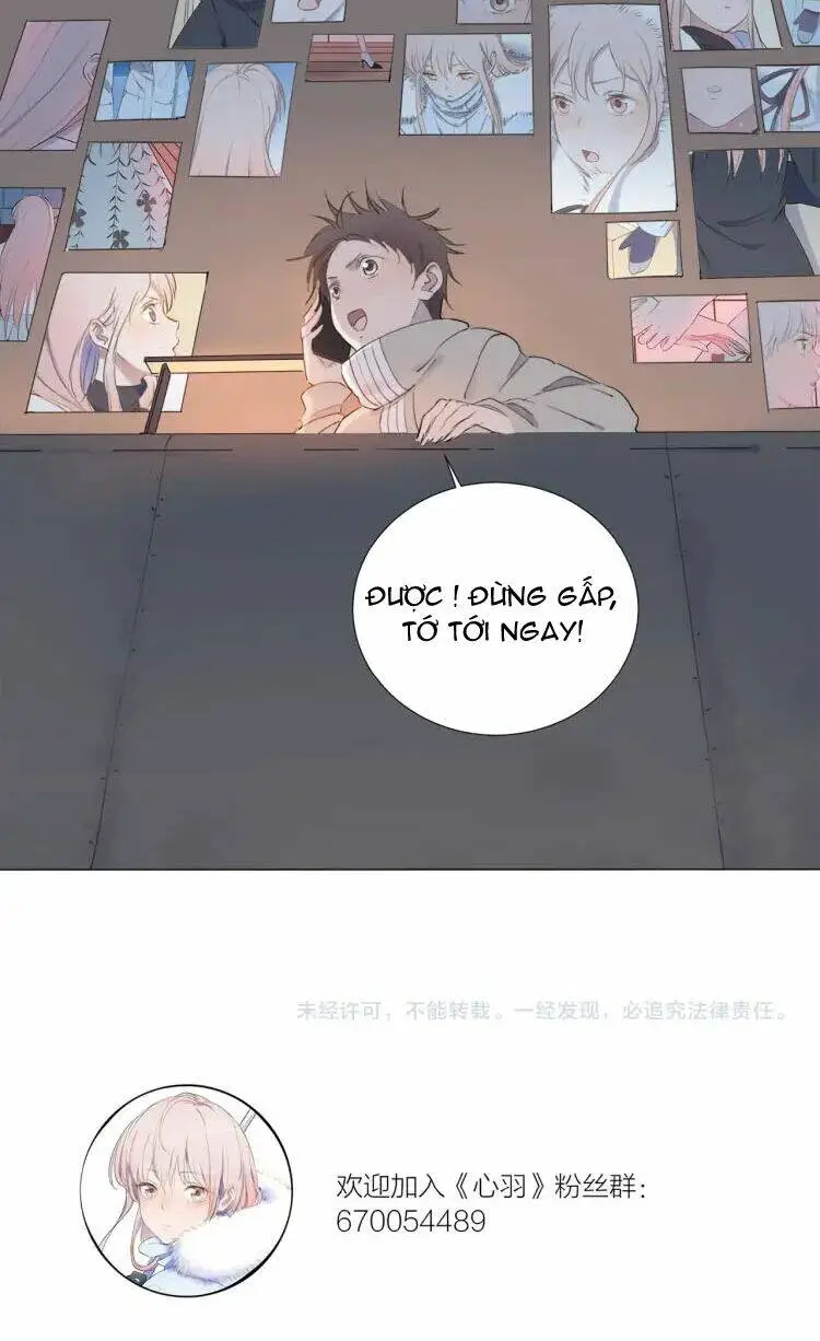 Chapter 11