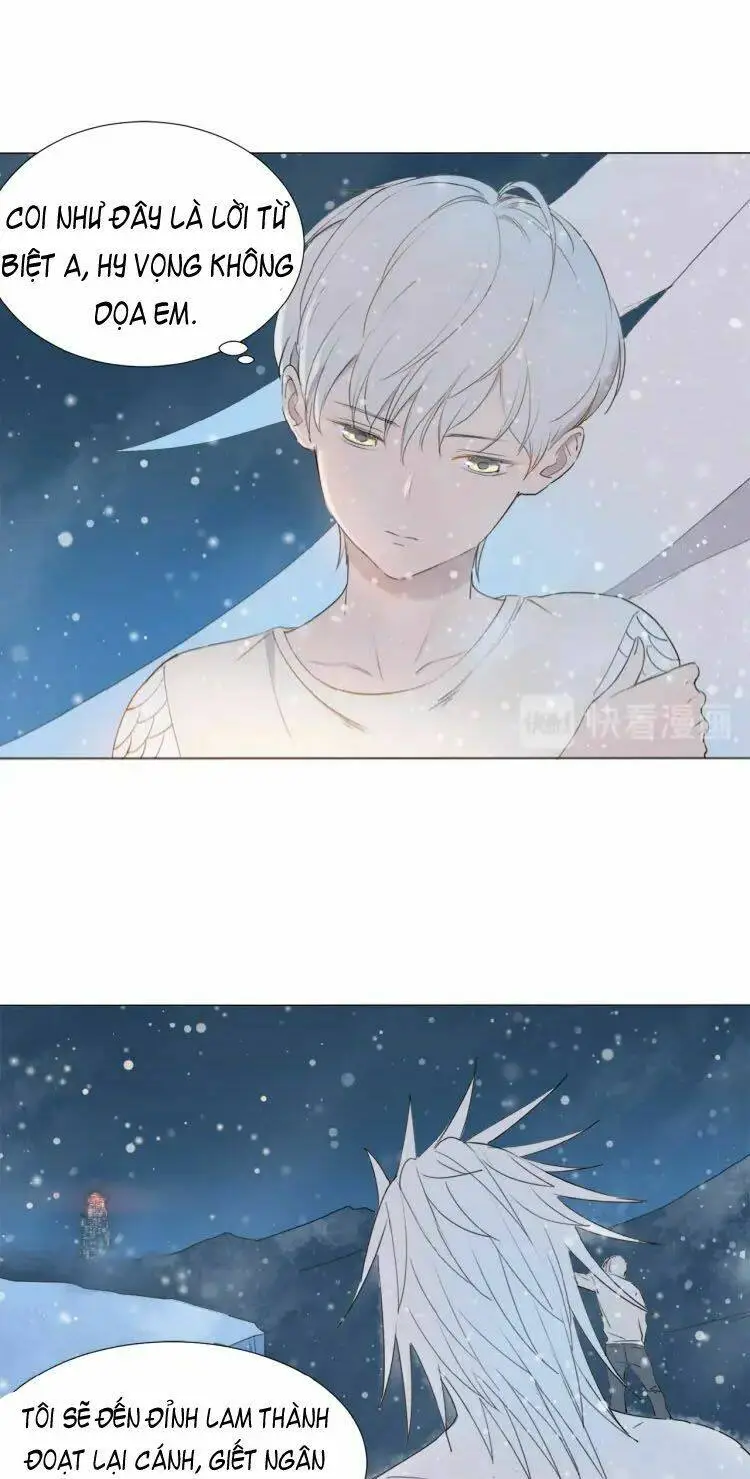 Chapter 11
