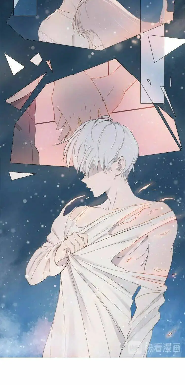 Chapter 11