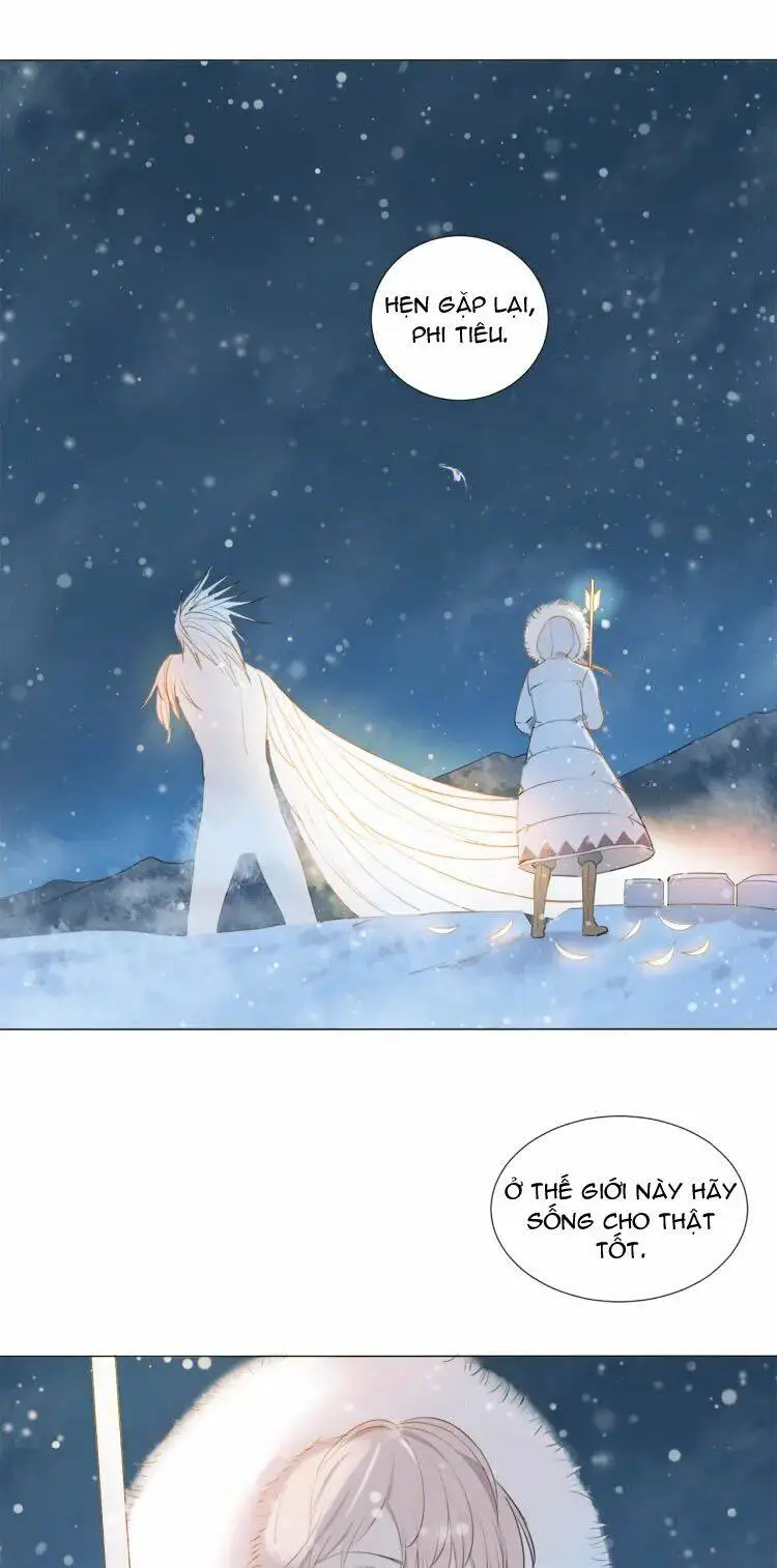 Chapter 11