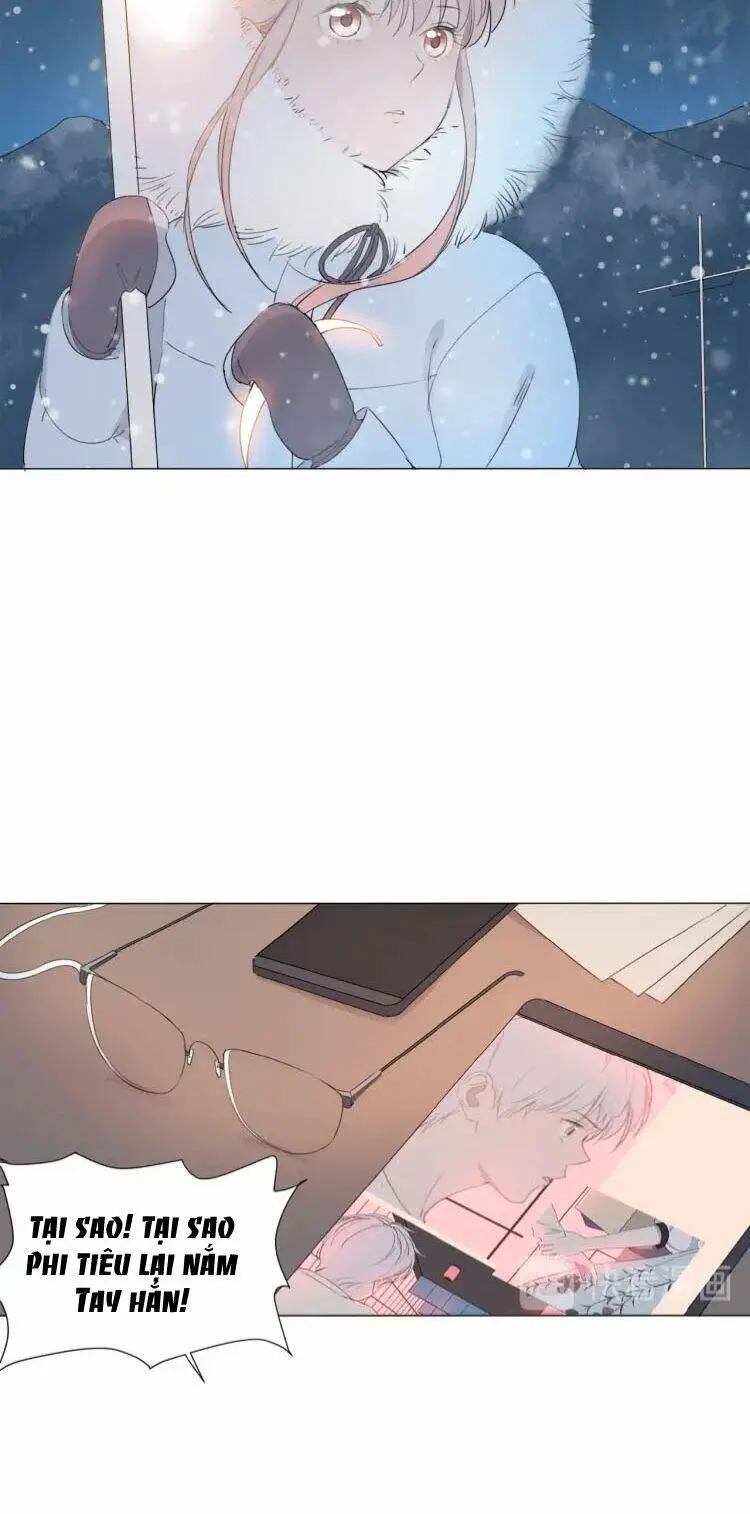 Chapter 11