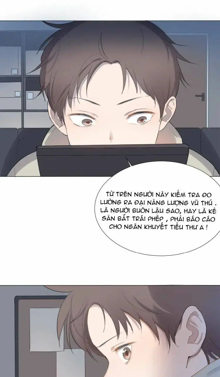 Chapter 11