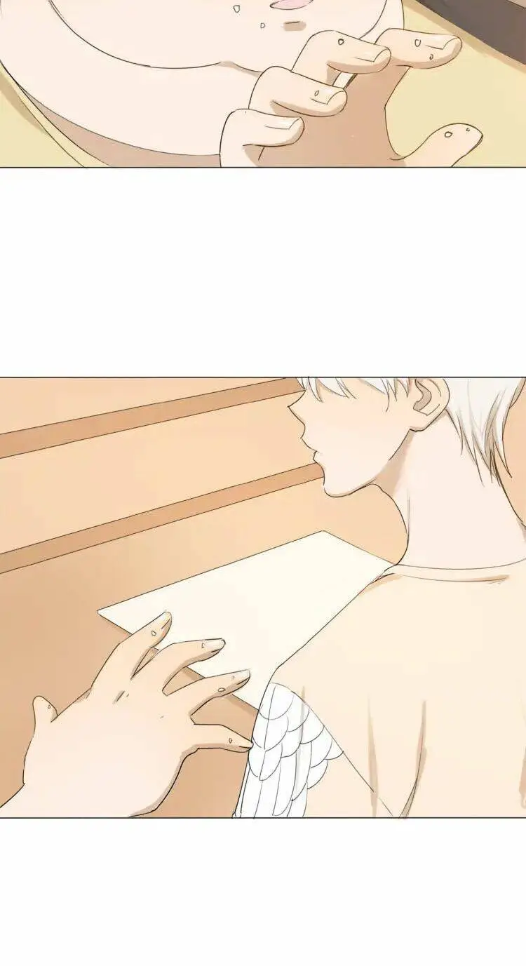 Chapter 8