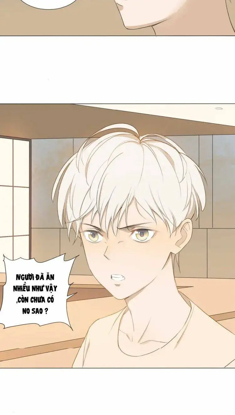 Chapter 8