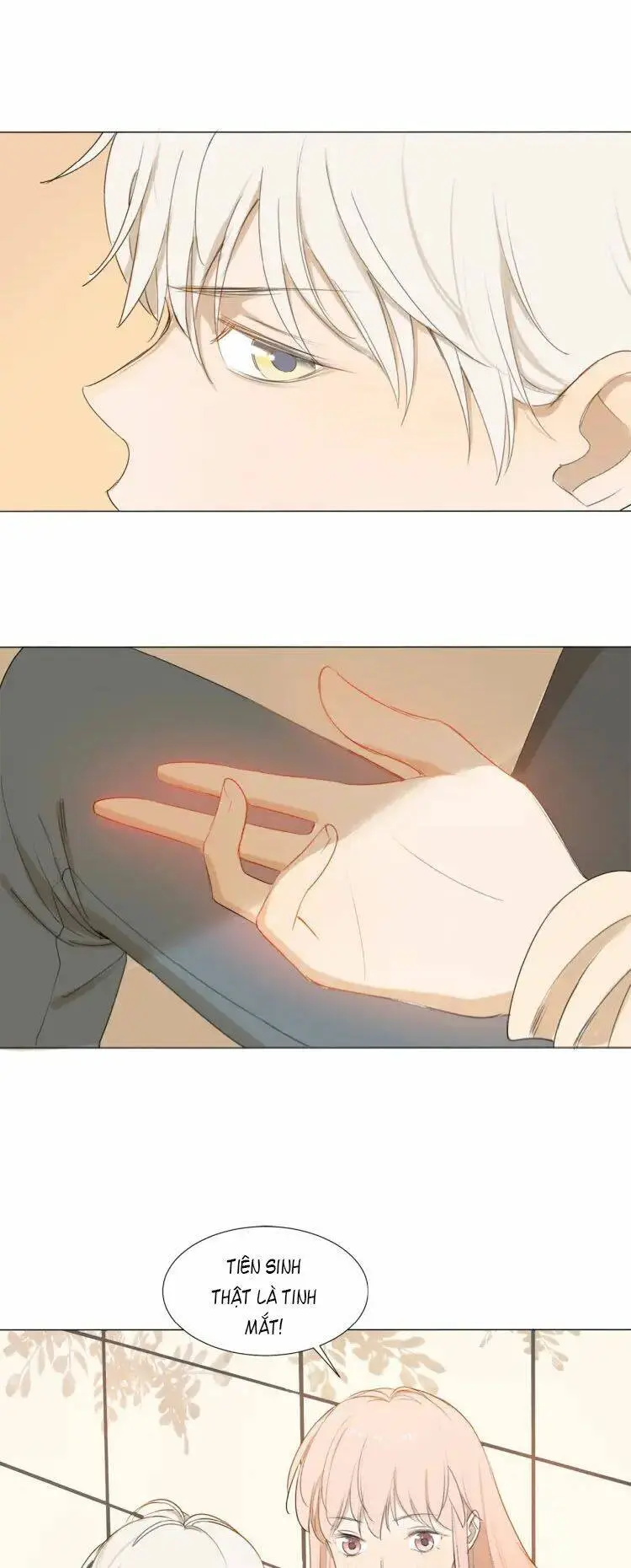Chapter 8