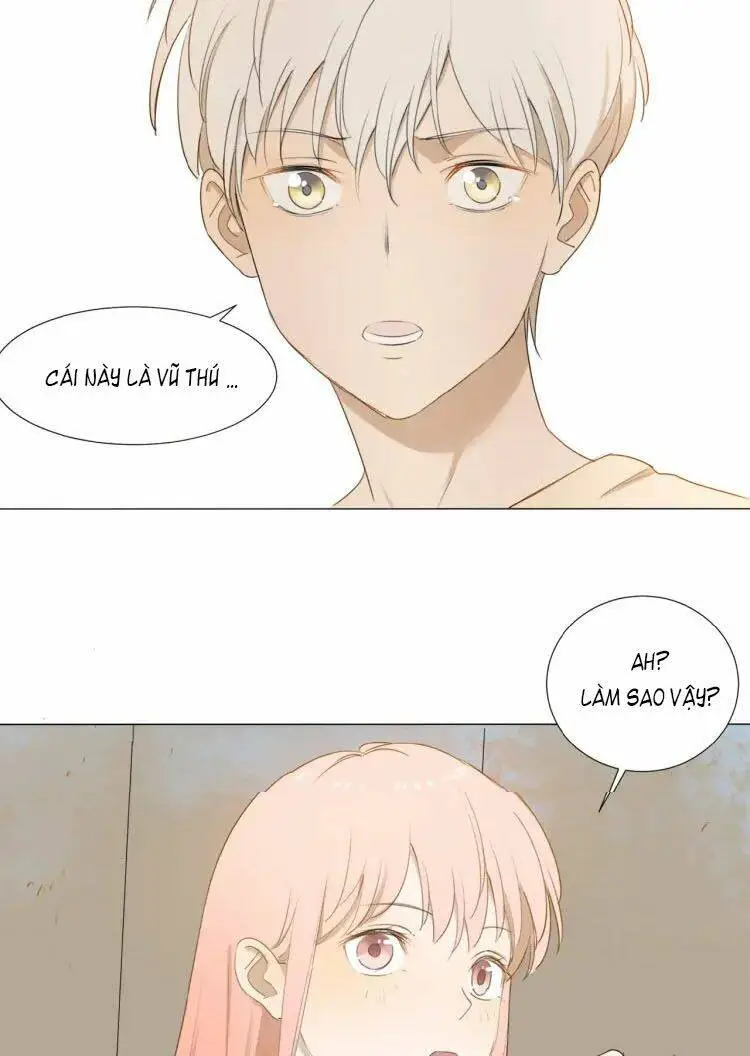 Chapter 8