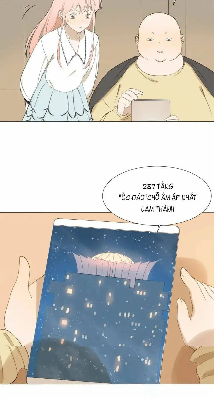 Chapter 8