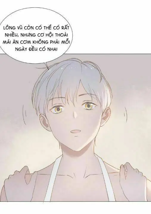 Chapter 5