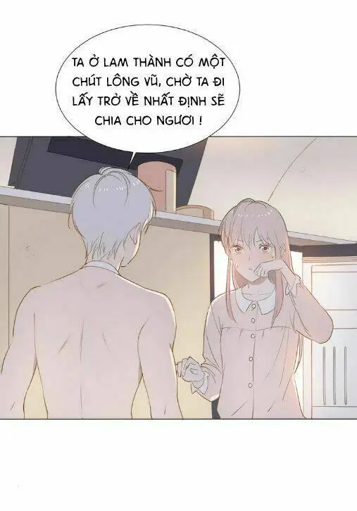 Chapter 5