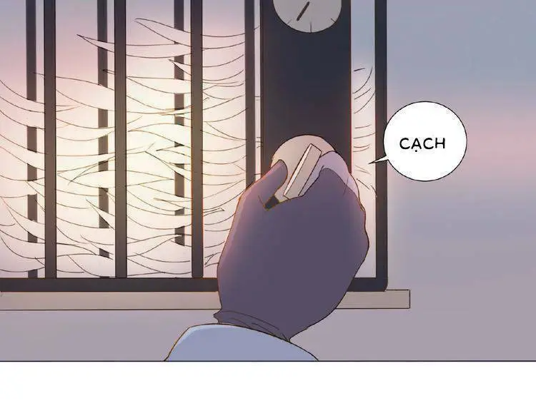 Chapter 3