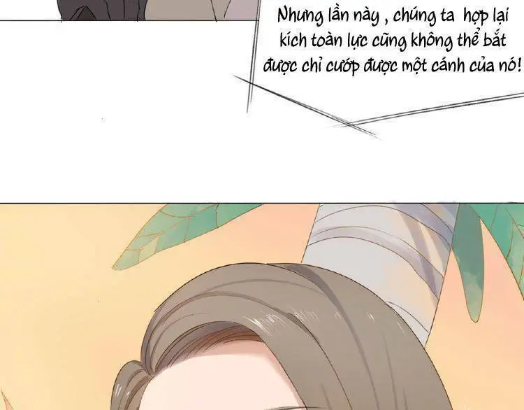 Chapter 3