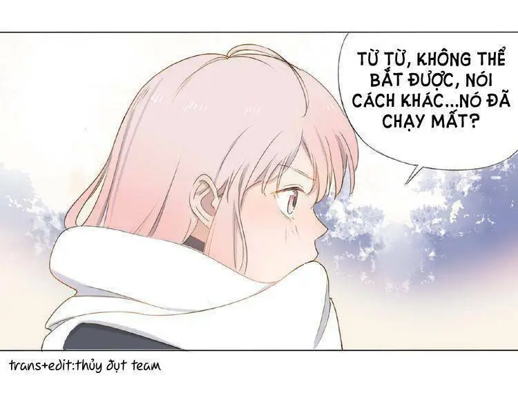 Chapter 3