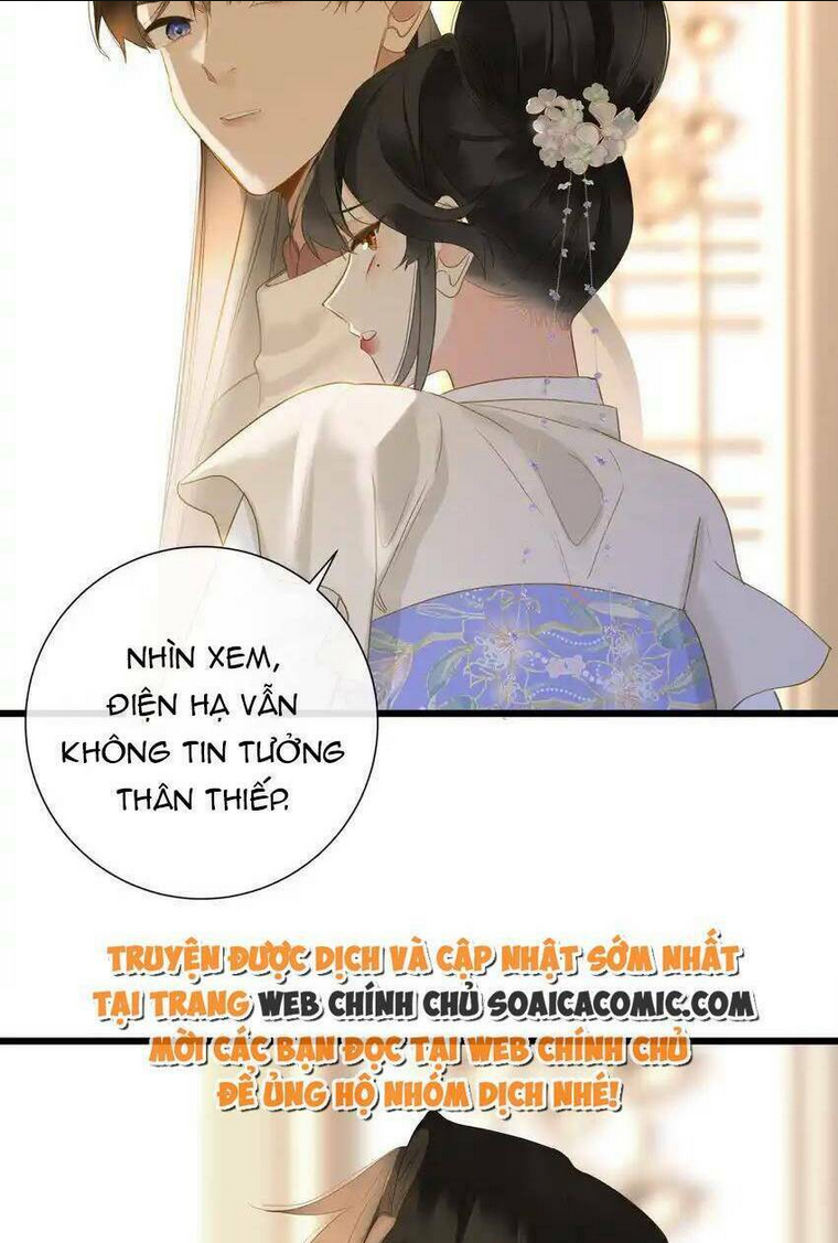 Chapter 55