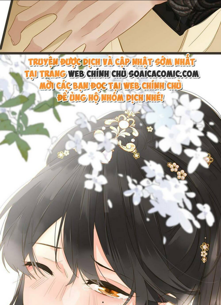 Chapter 46