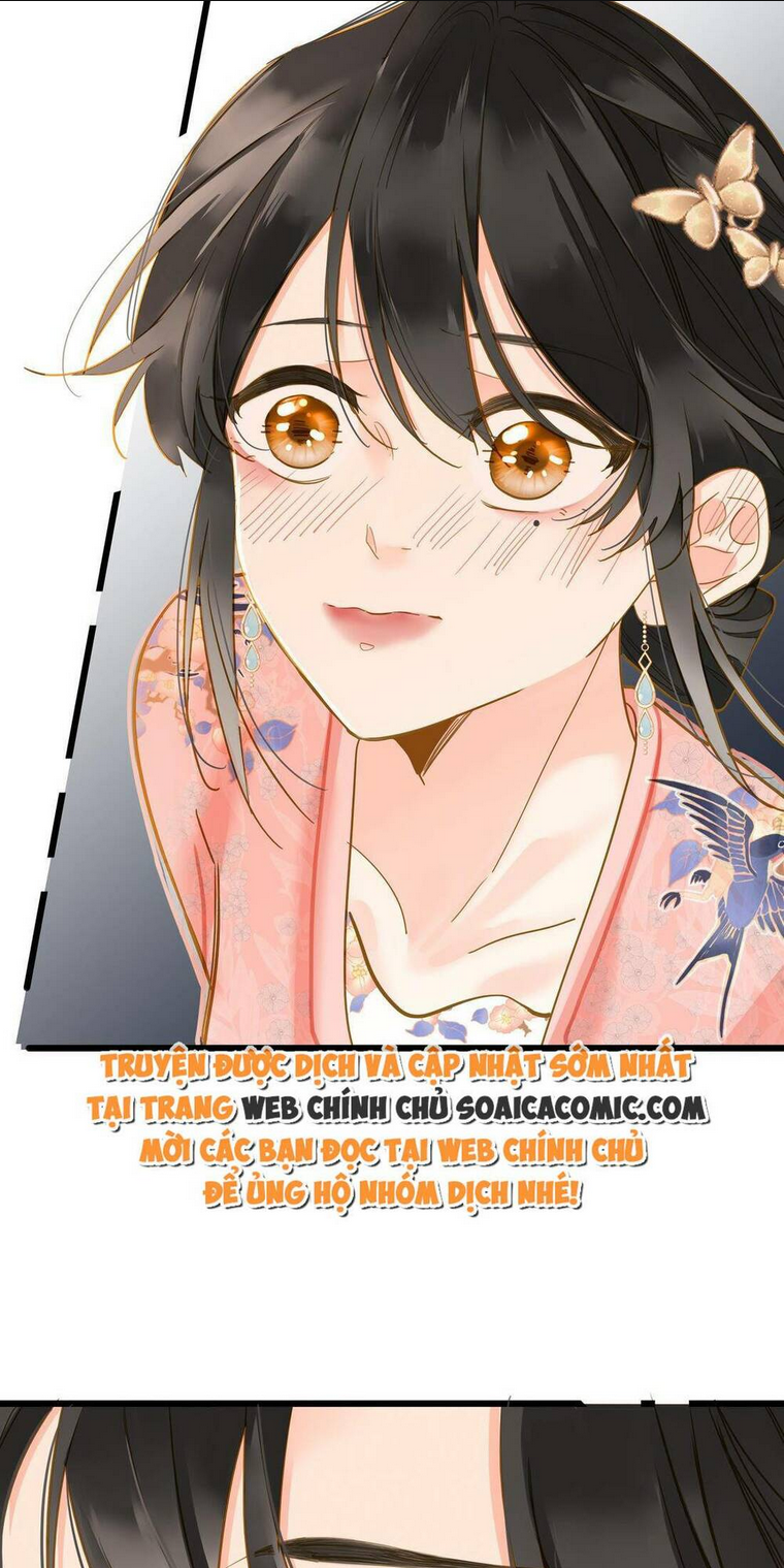 Chapter 41