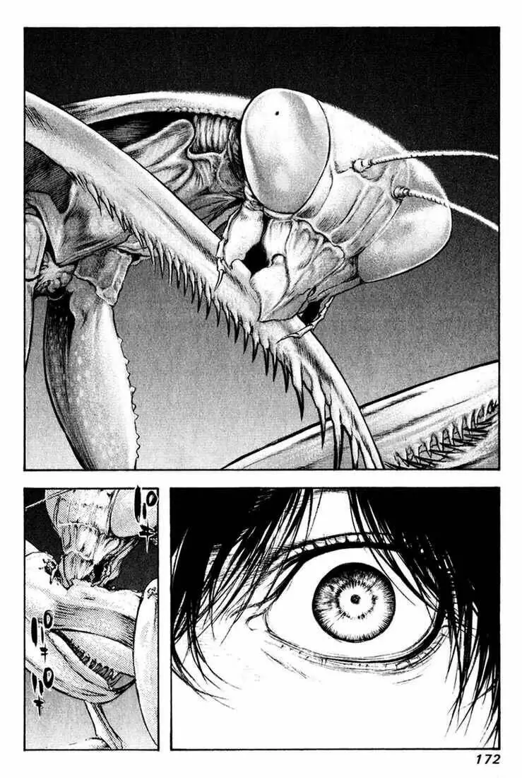 Chapter 51