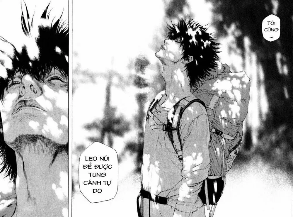Chapter 46