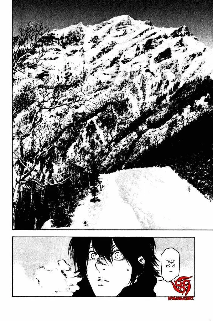 Chapter 22
