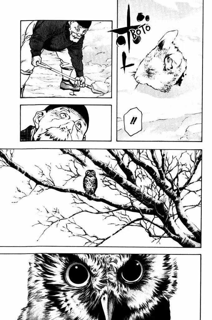 Chapter 22