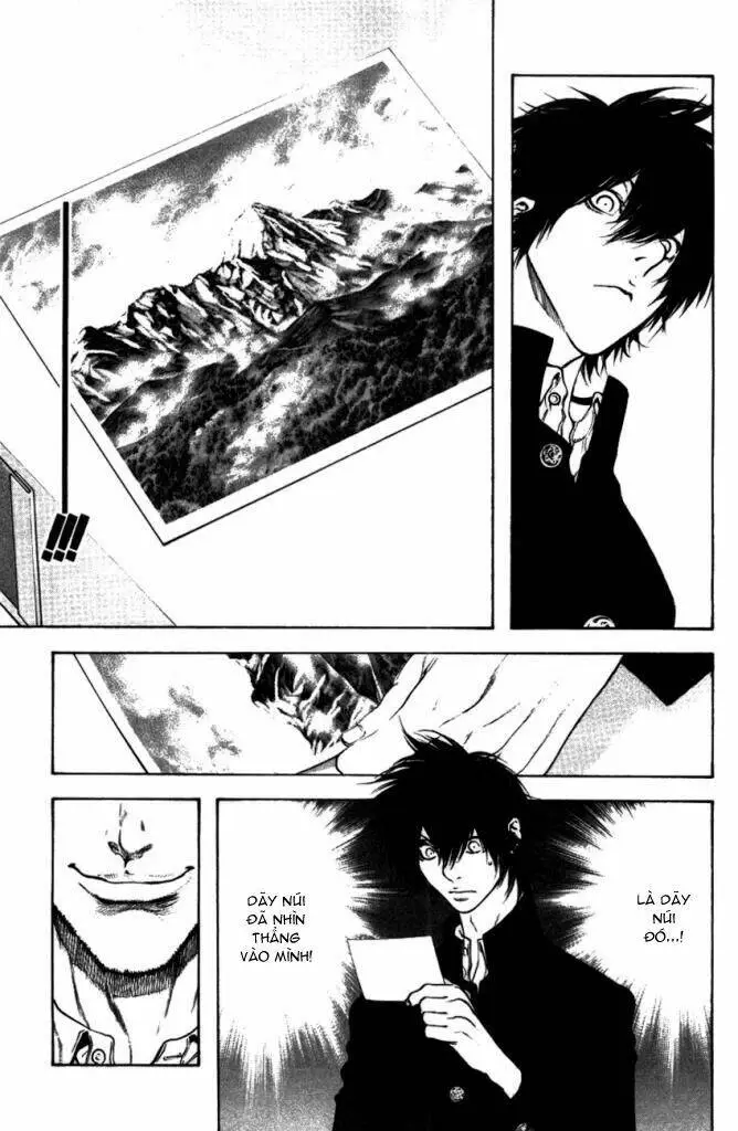 Chapter 19