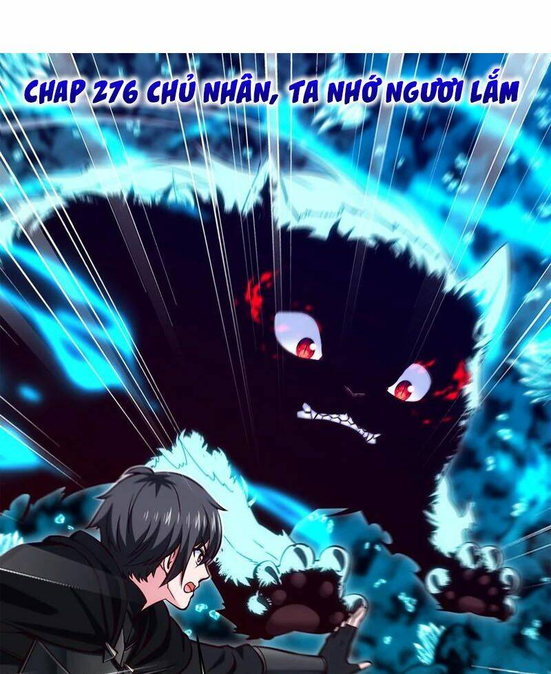 Chapter 276