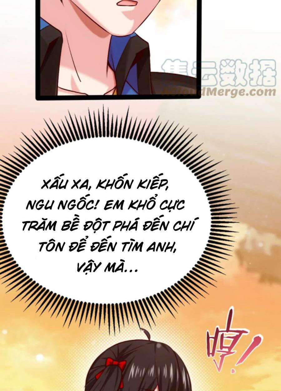 Chapter 242