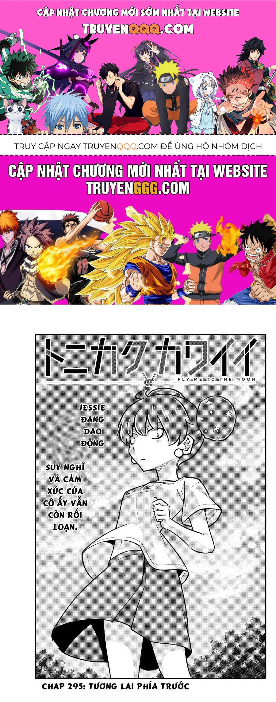 Chapter 295