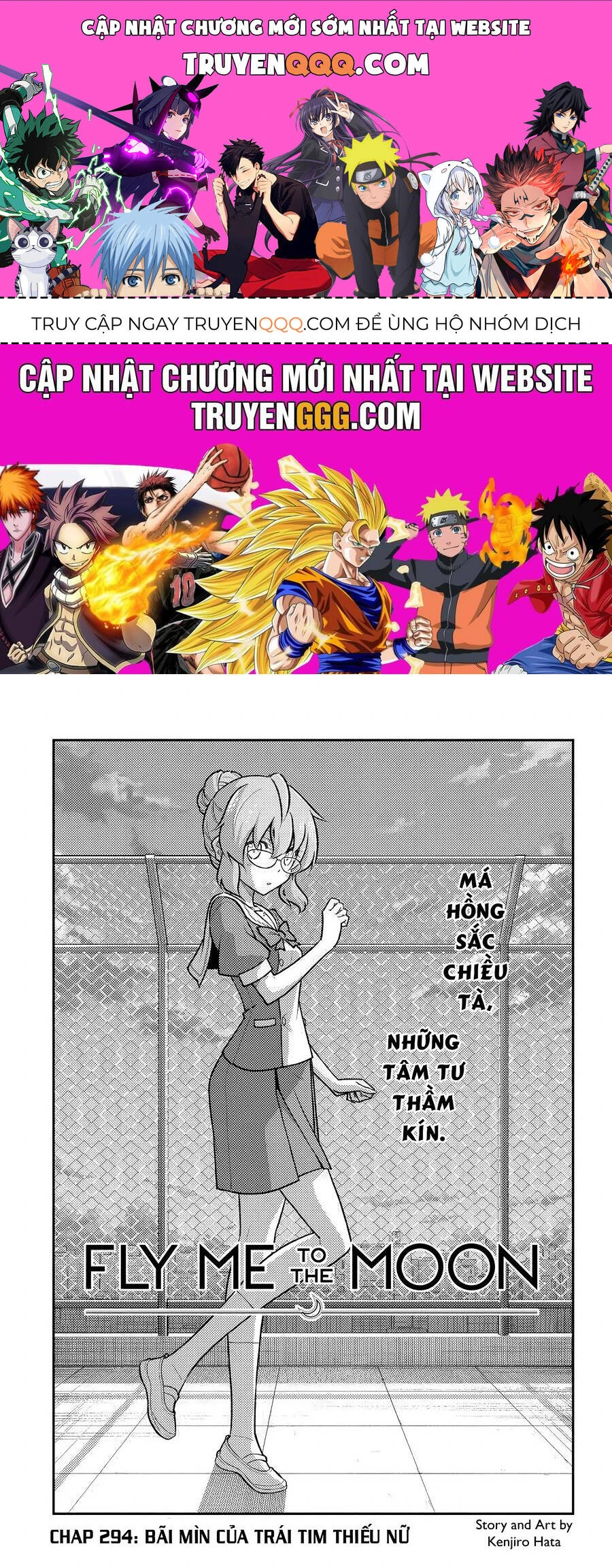 Chapter 294