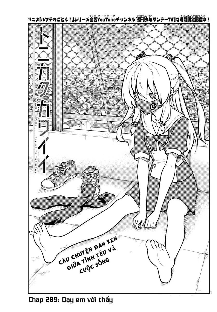 Chapter 289