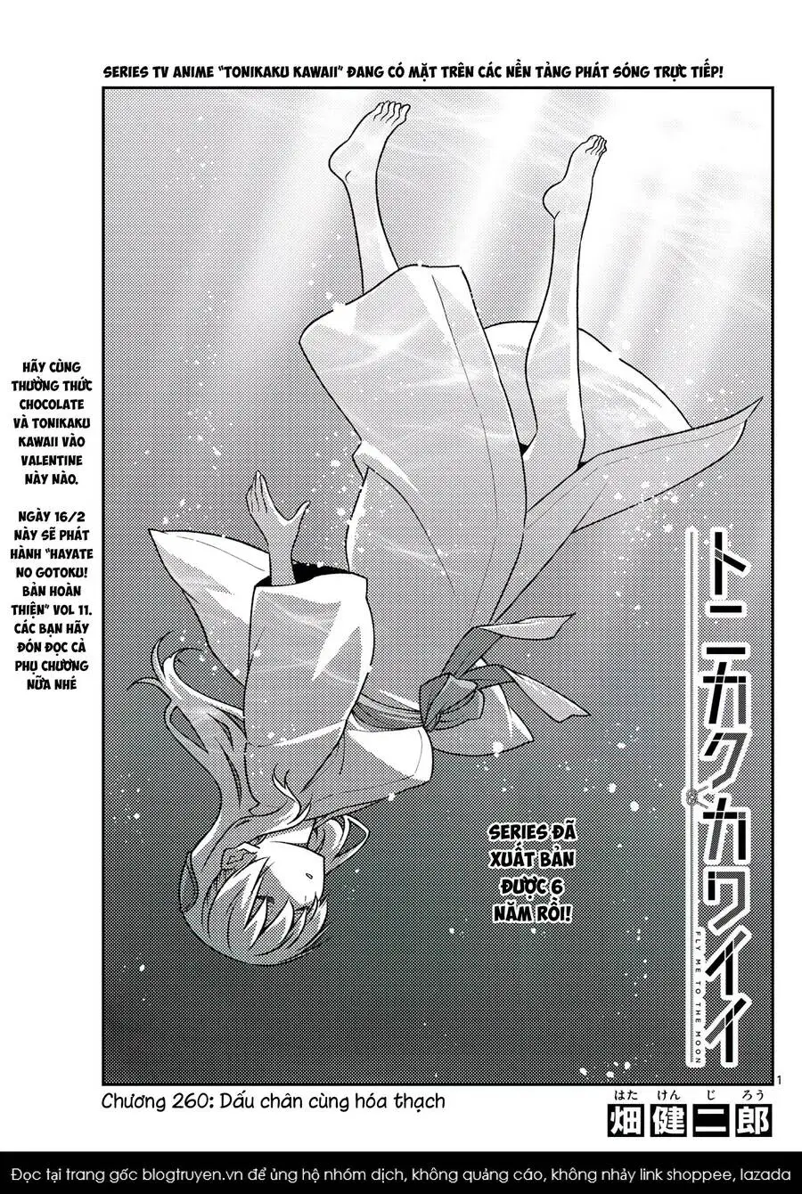 Chapter 260