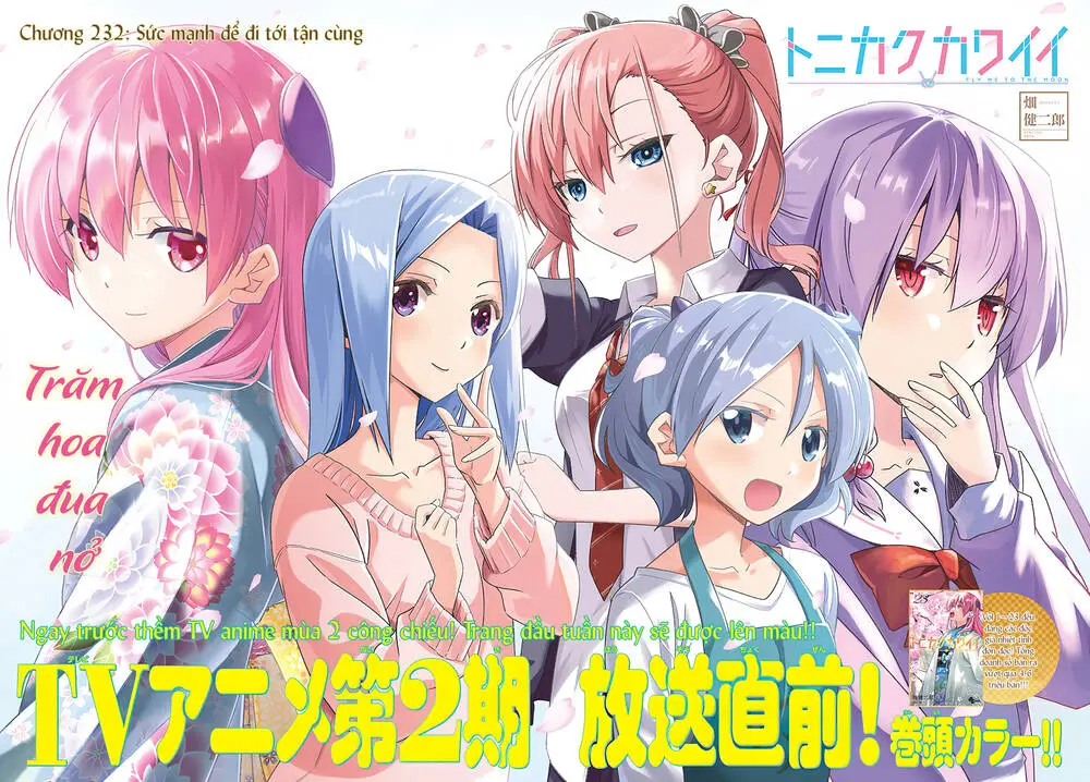 Chapter 232