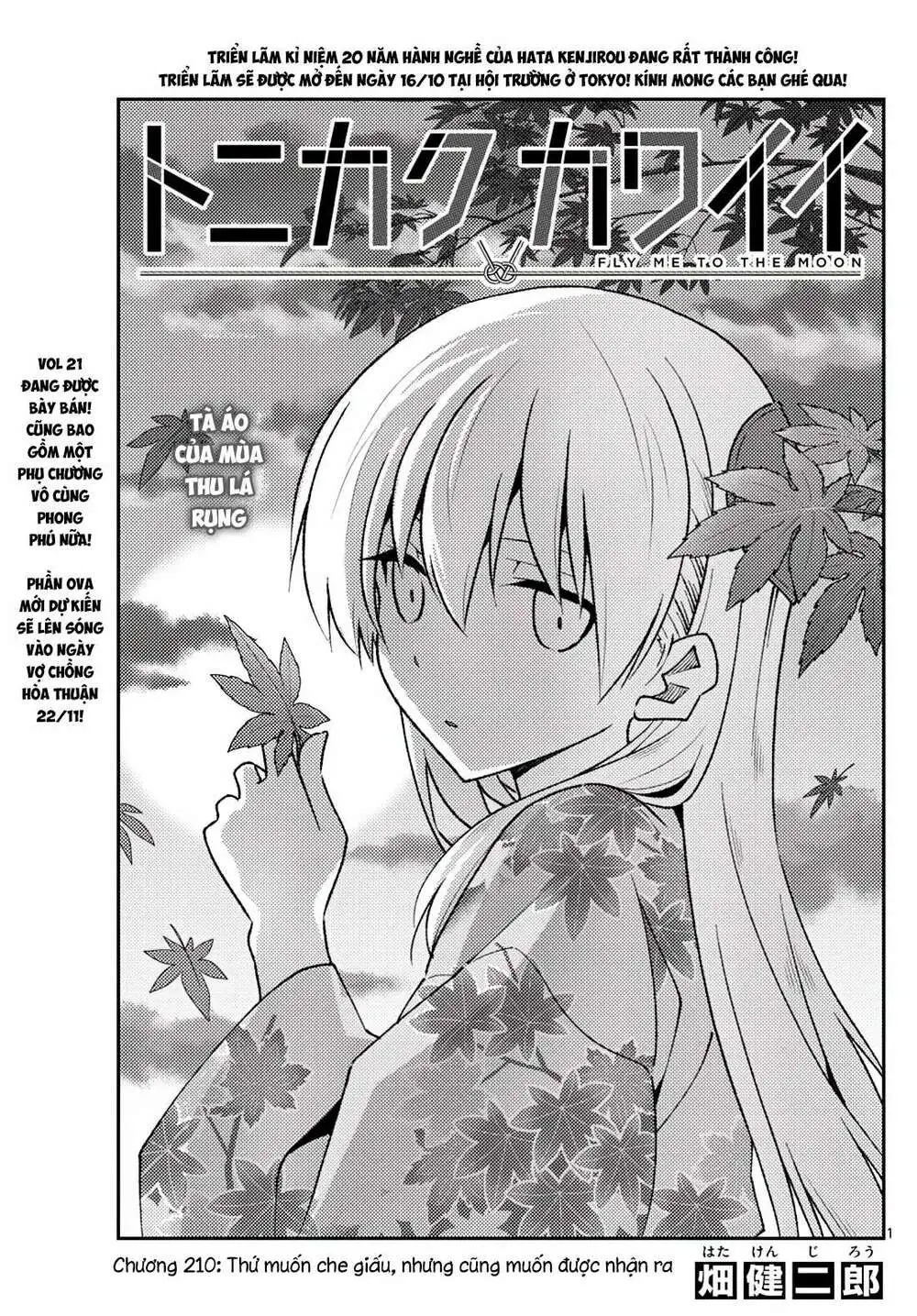 Chapter 210