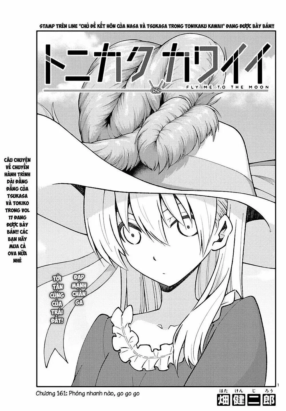 Chapter 161