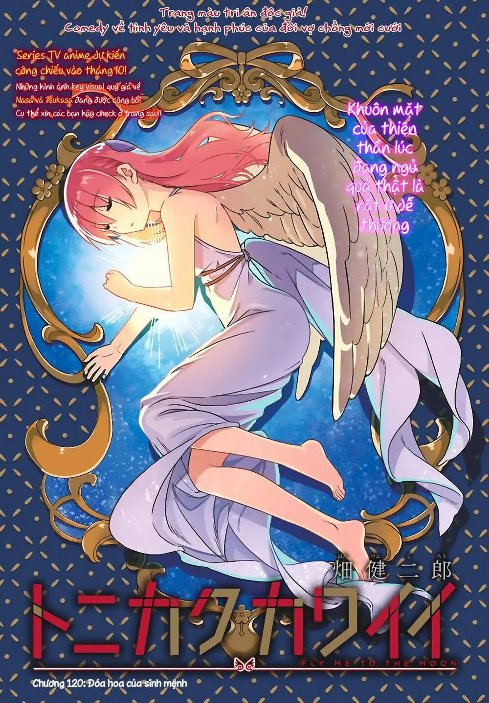 Chapter 120