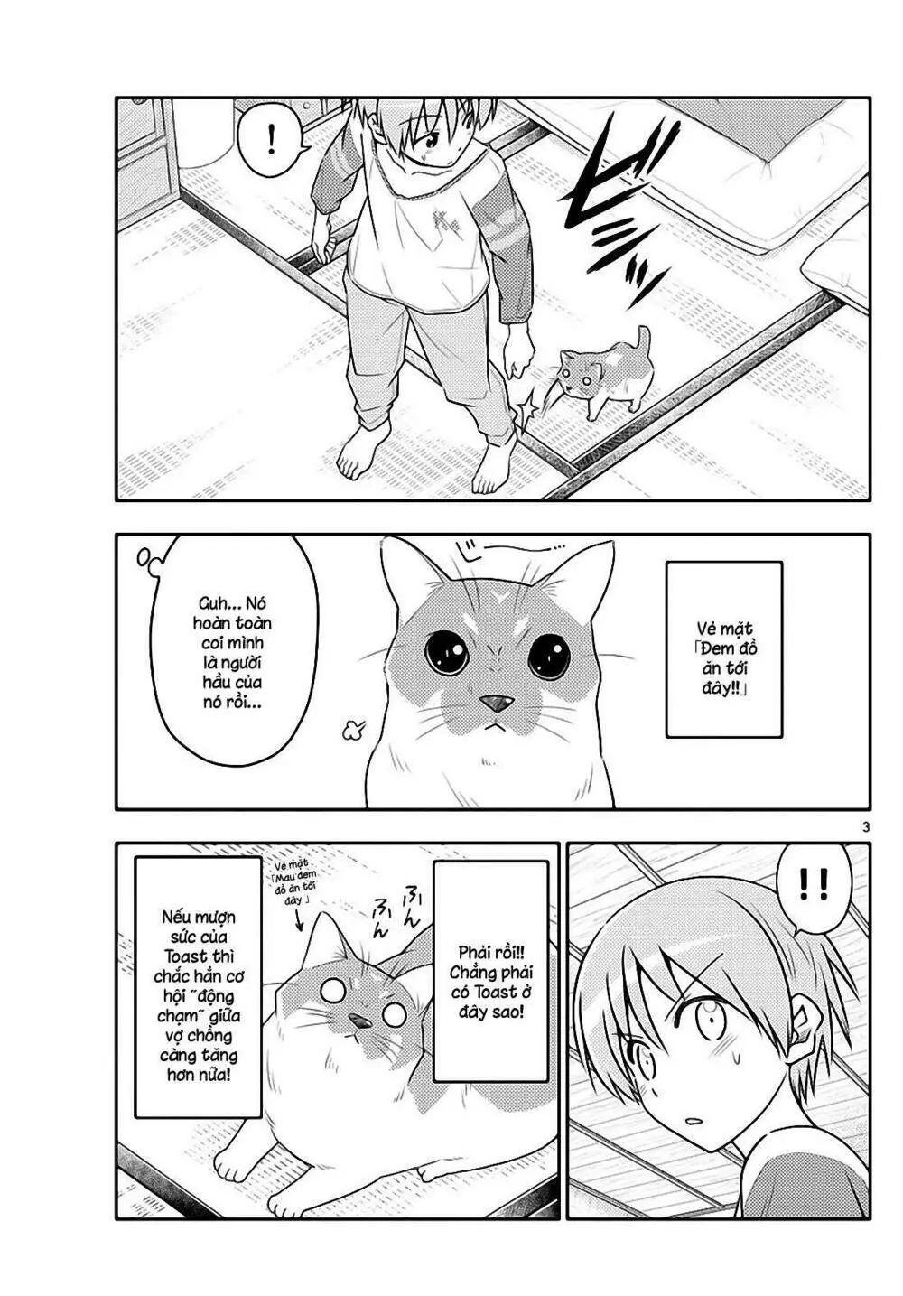 Chapter 53