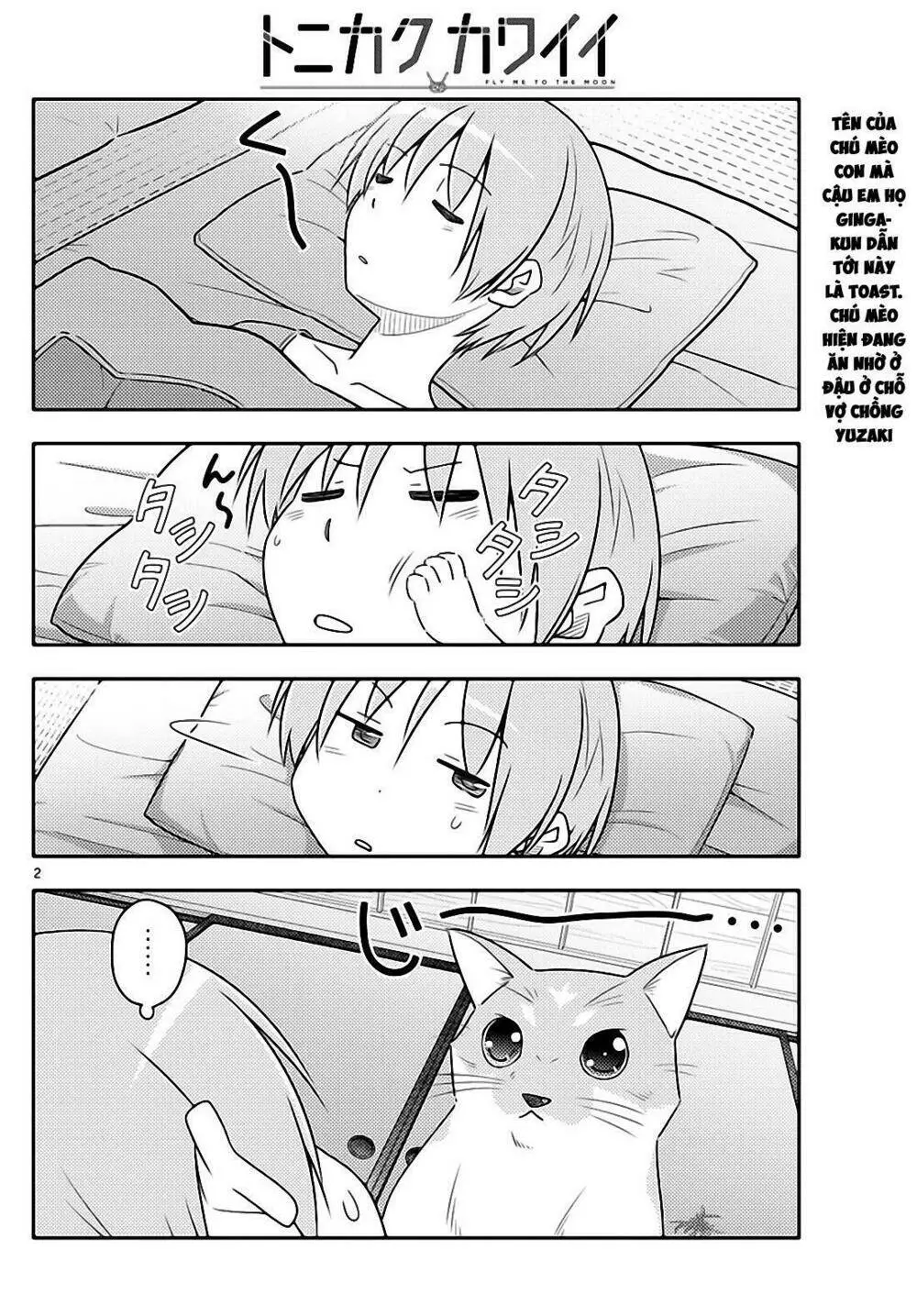 Chapter 52