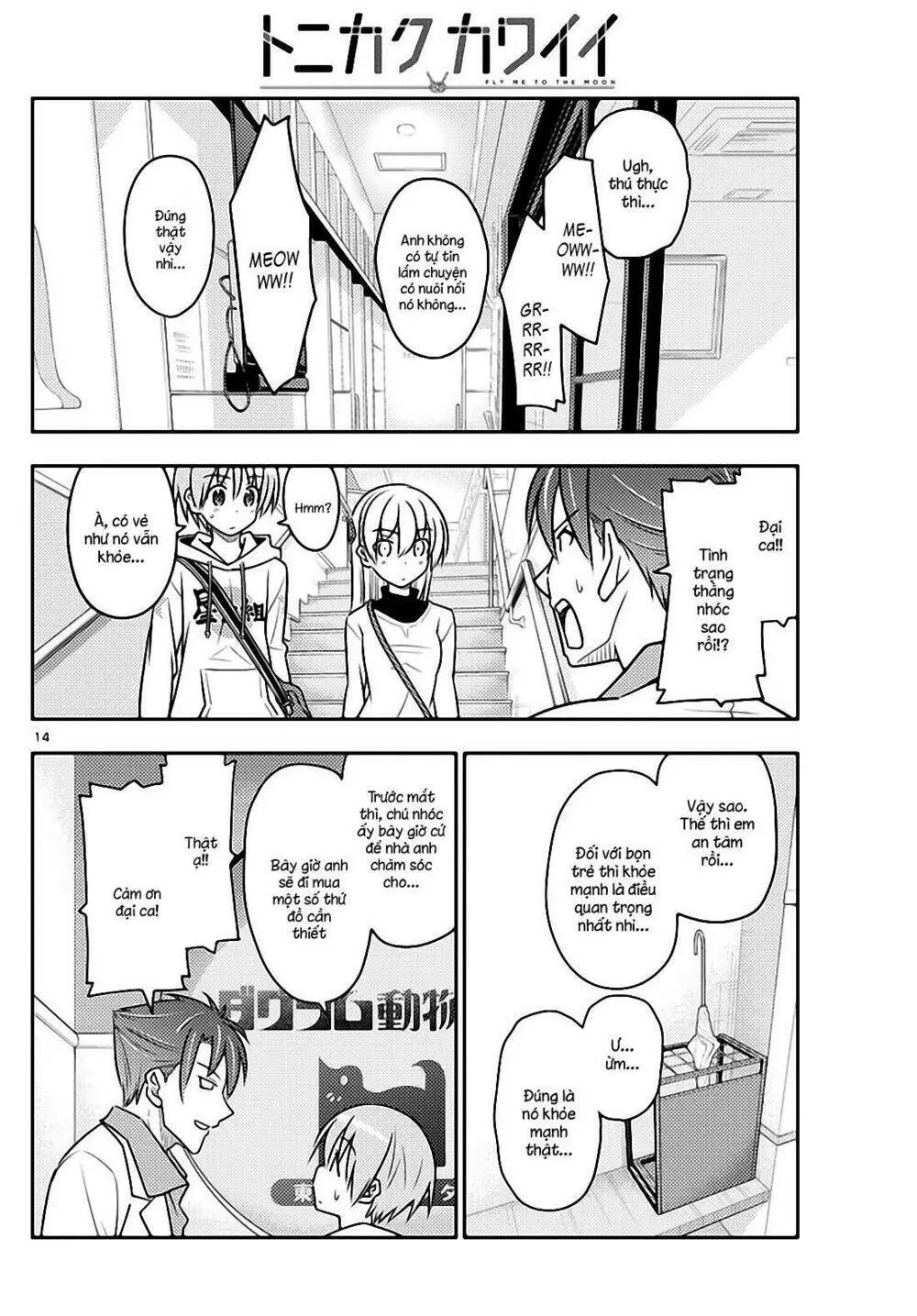Chapter 51