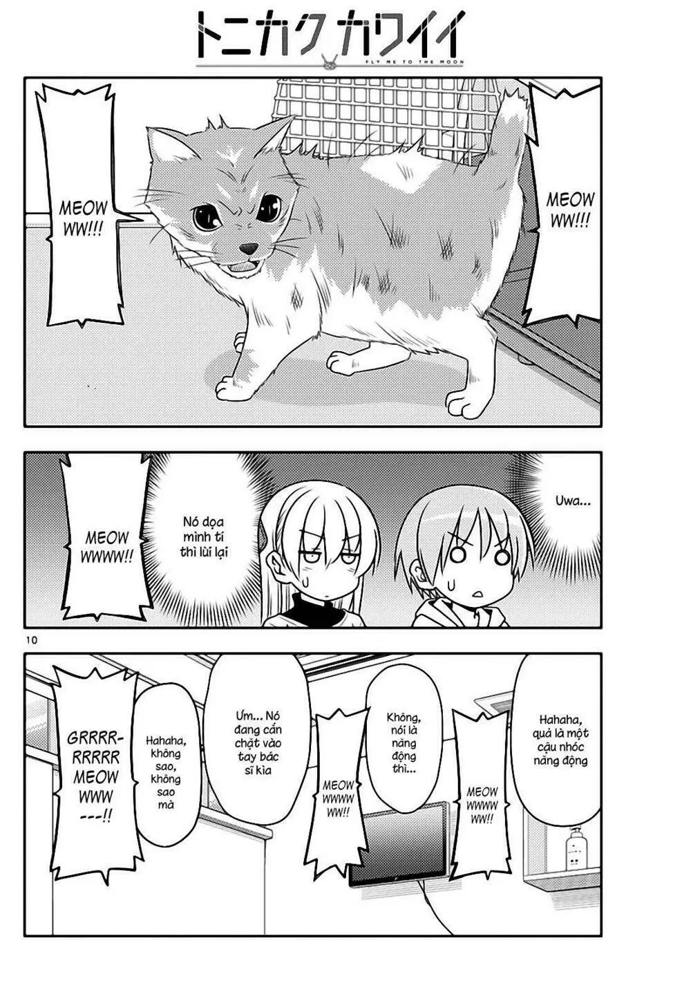 Chapter 51