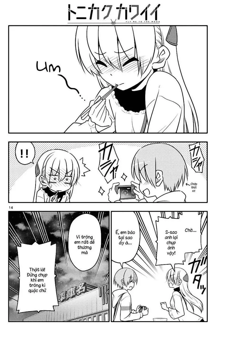 Chapter 23