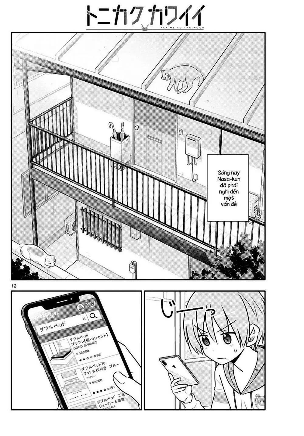 Chapter 19