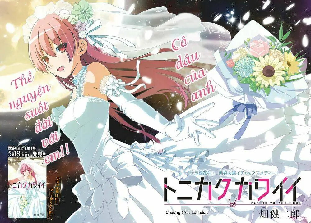 Chapter 14