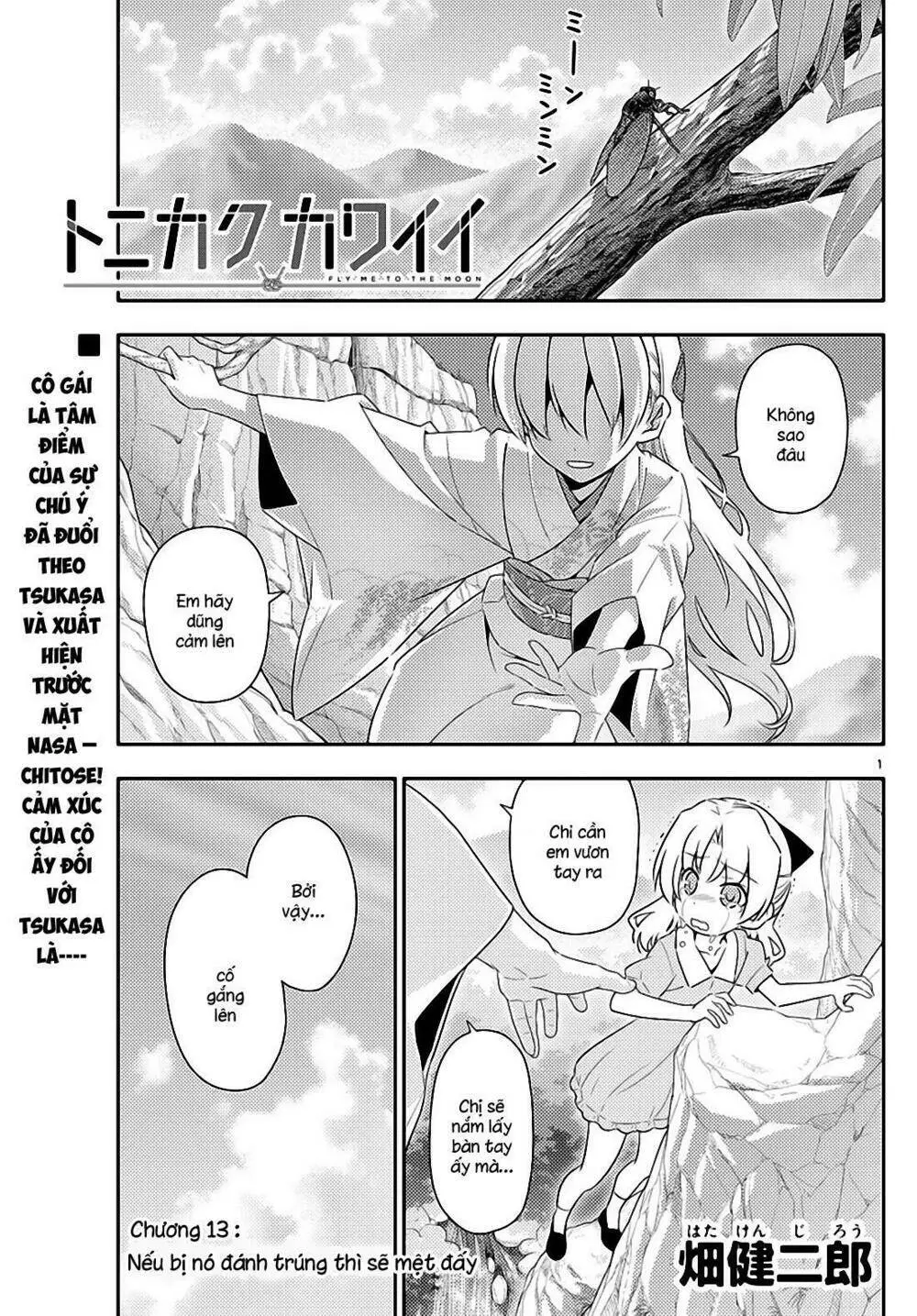 Chapter 13