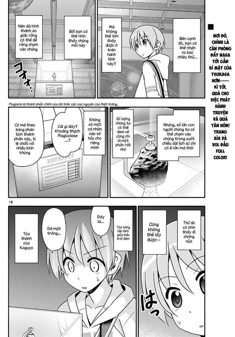 Chapter 13