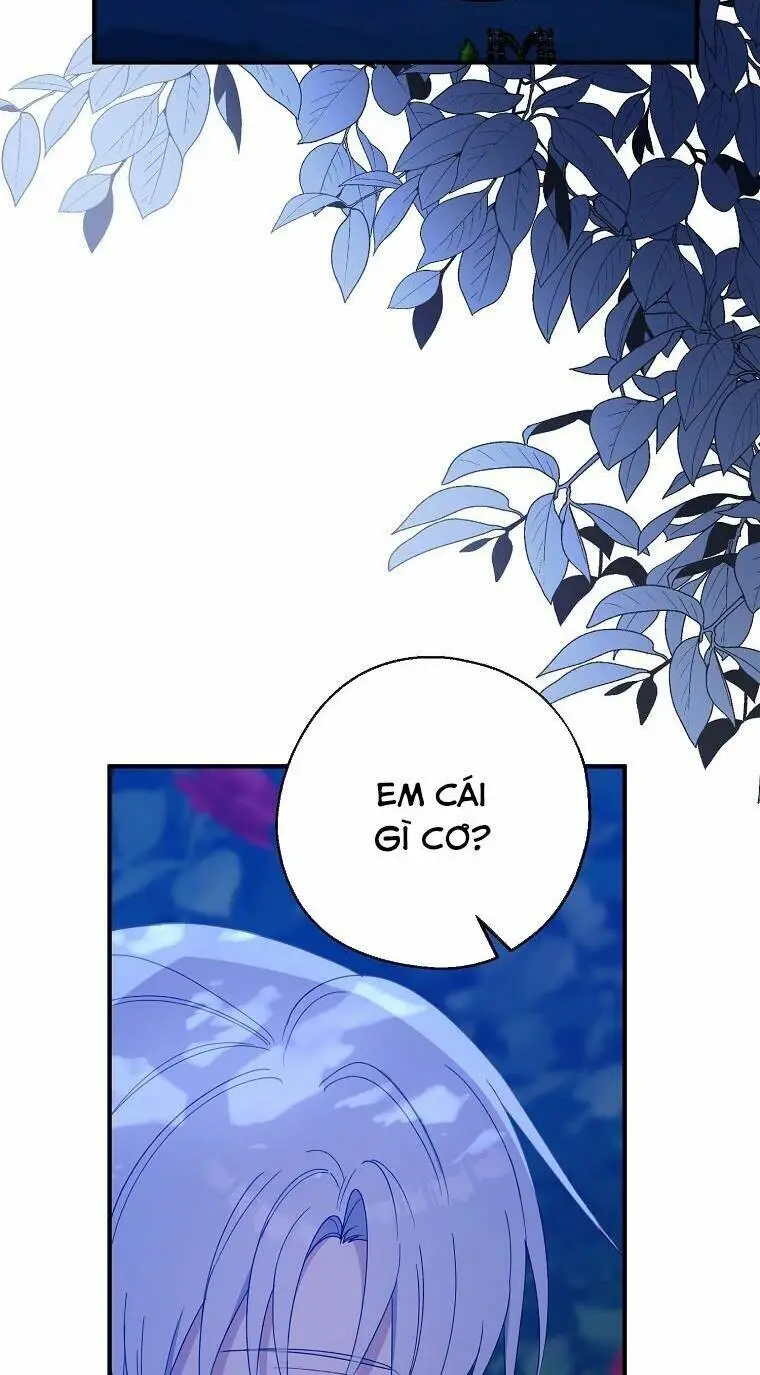 Chapter 85