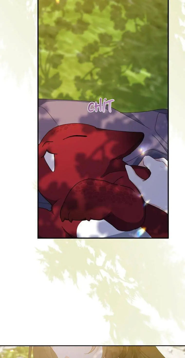 Chapter 73