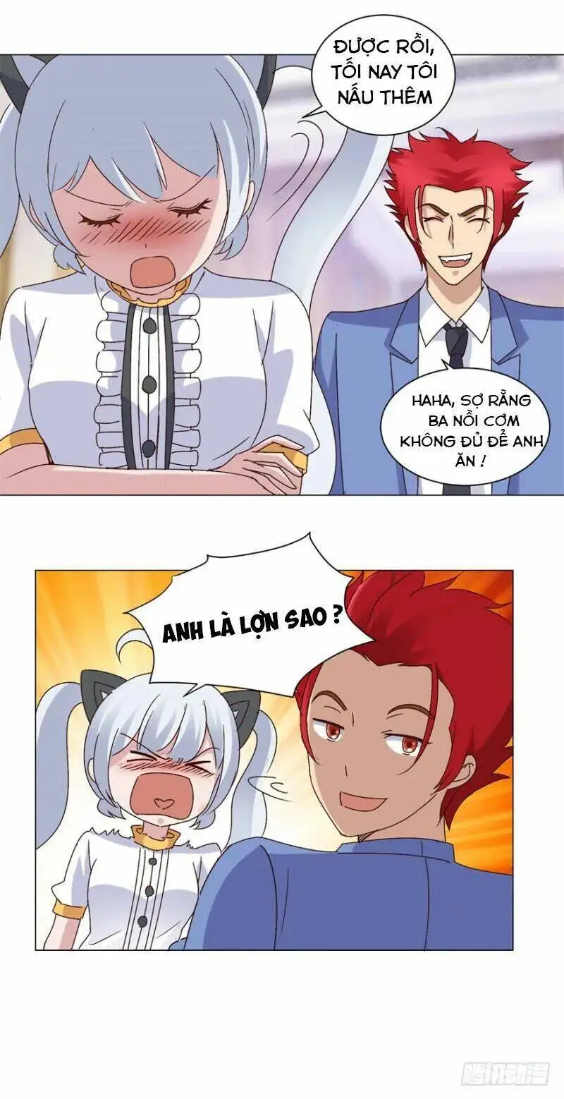 Chapter 15