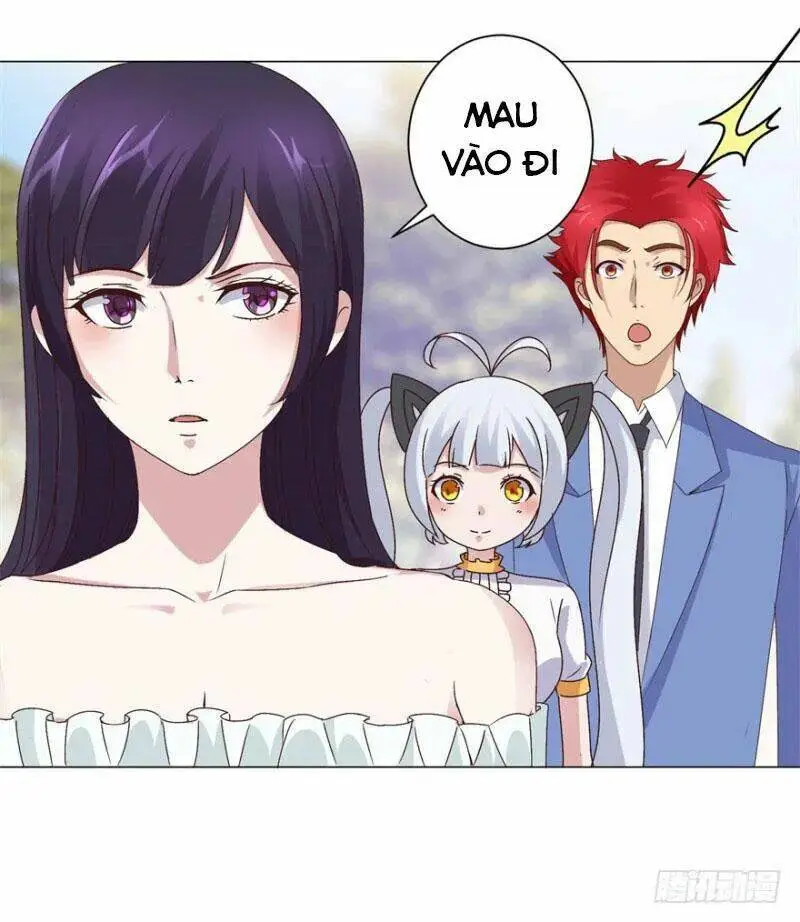 Chapter 15