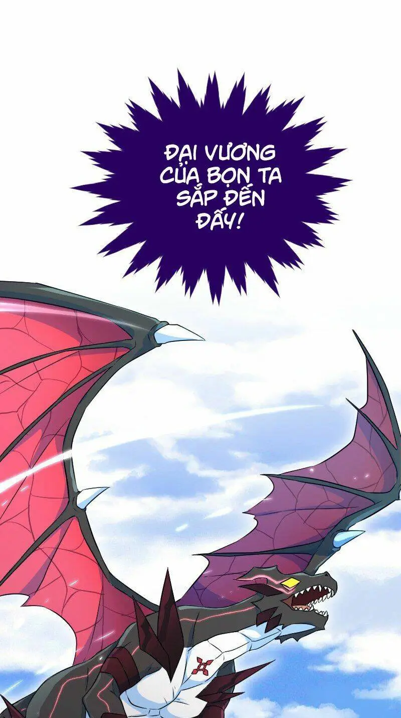 Chapter 95